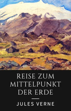 Jules Verne Reise zum Mittelpunkt der Erde обложка книги