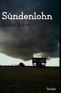 Andre Rober Sündenlohn обложка книги