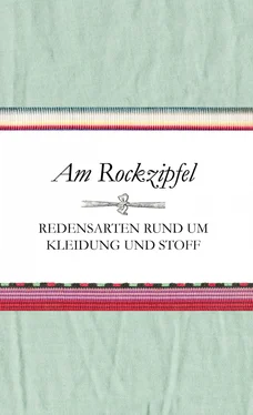Susanne Schnatmeyer Am Rockzipfel обложка книги