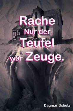 Dagmar Schulz Rache nur der Teufel war Zeuge. обложка книги