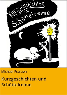 Michael Franzen Kurzgeschichten und Schüttelreime обложка книги