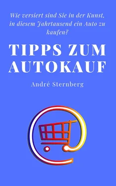 André Sternberg Tipps zum Autokauf обложка книги