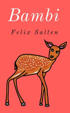 Felix Salten Bambi обложка книги