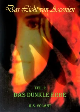 R.S. Volant Das Dunkle Erbe обложка книги