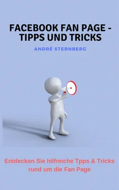 André Sternberg Facebook Fan Page - Tipps und Tricks обложка книги