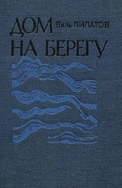 Виль Липатов Дом на берегу: очерки обложка книги