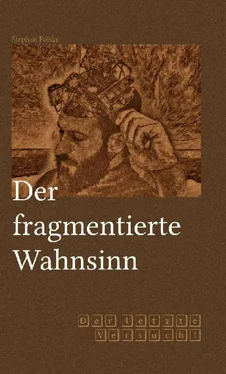 Stephan Fölske Der fragmentierte Wahnsinn обложка книги
