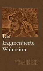 Stephan Fölske - Der fragmentierte Wahnsinn