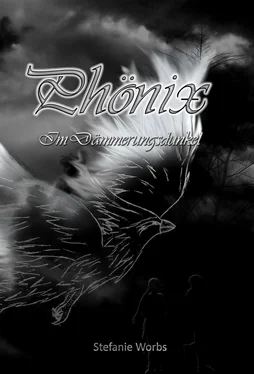 Stefanie Worbs Phönix Band 1 обложка книги