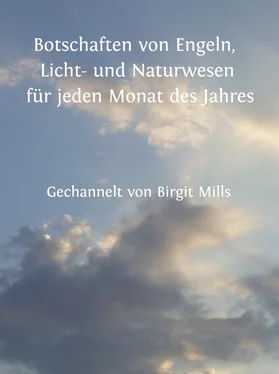 Birgit Mills Botschaften von Engeln, Licht- und Naturwesen für jeden Monat des Jahres обложка книги