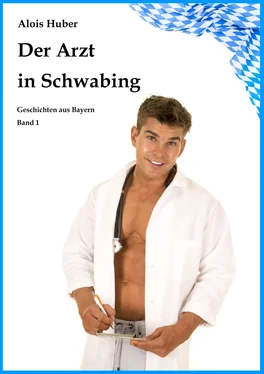 Alois Huber Der Arzt in Schwabing обложка книги
