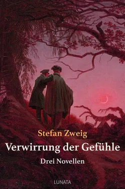 Stefan Zweig Verwirrung der Gefühle обложка книги