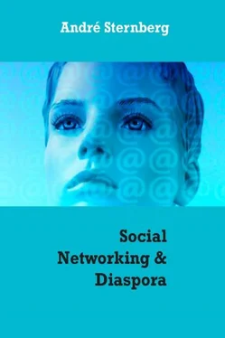 André Sternberg Social Networking & Diaspora обложка книги
