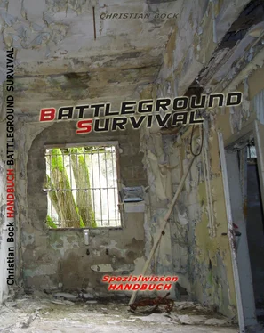 Christian Bock Battleground Survival обложка книги