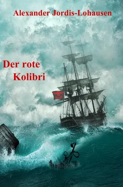 Alexander Jordis-Lohausen Der Rote Kolibri обложка книги