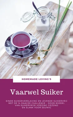 HOMEMADE LOVING'S Vaarwel Suiker обложка книги