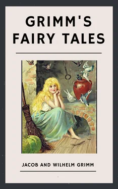 the Brothers Grimm The Brothers Grimm: Grimm's Fairy Tales (English Edition) обложка книги
