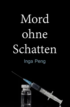 Inga Peng Mord ohne Schatten обложка книги