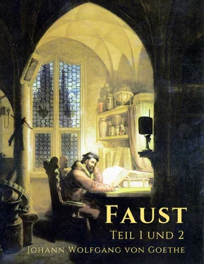 Johann Wolfgang von Goethe Goethe - Faust