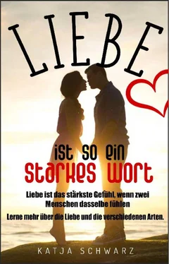 Katja Schwarz Liebe ist so ein starkes Wort обложка книги
