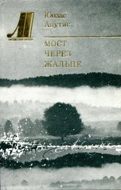 Юозас Апутис Мост через Жальпе обложка книги