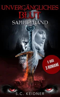 S.C. Keidner Unvergängliches Blut - Sammelband обложка книги