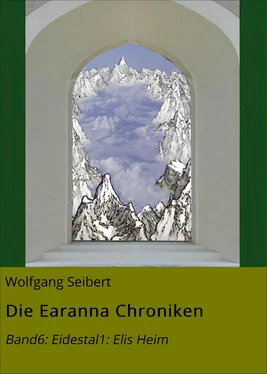 Wolfgang Seibert Die Earanna Chroniken обложка книги