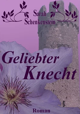 Sarah Schenkenstein Geliebter Knecht обложка книги