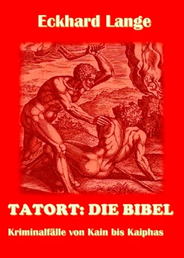 Eckhard Lange Tatort: Die Bibel обложка книги