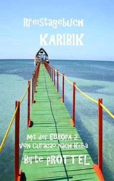 Birte Pröttel Reisetagebuch durch die Karibik обложка книги