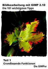 GIMPER - Bildbearbeitung mit GIMP 2.10 – Die 101 wichtigsten Tipps