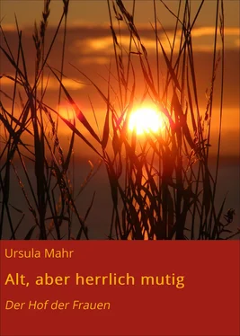 Ursula Mahr Alt, aber herrlich mutig обложка книги