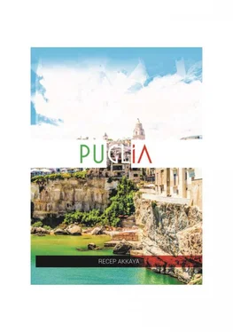 Recep Akkaya Pugliada bir hafta обложка книги