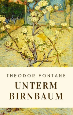 Theodor Fontane Theodor Fontane: Unterm Birnbaum обложка книги