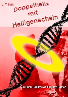Lars T Kühl Doppelhelix mit Heiligenschein обложка книги