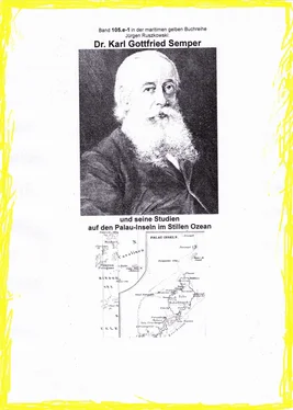 Jürgen Ruszkowski Heimkehr des Dr. Karl Gottfried Semper von seinen ethnologischen Studien auf den Palau-Inseln im Stillen Ozean обложка книги