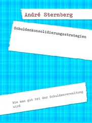 André Sternberg - Schuldenkonsolidierungsstrategien