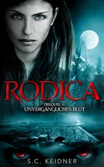 S.C. Keidner - Rodica