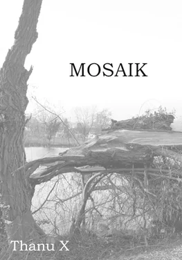 Thanu X Mosaik обложка книги