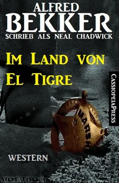 Alfred Bekker Im Land von El Tigre (Neal Chadwick Western Edition) обложка книги