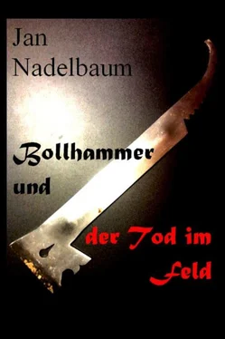 Jan Nadelbaum Bollhammer und der Tod im Feld обложка книги