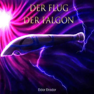 Eldar Elrador Der Flug der Falgon обложка книги