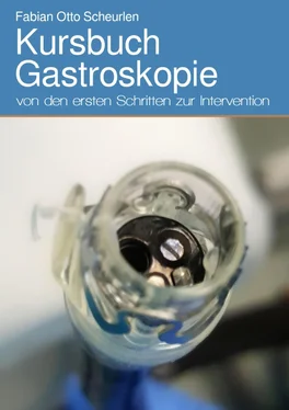Fabian Otto Scheurlen Kursbuch Gastroskopie обложка книги