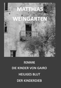 Matthias Sprißler Romane: Die Kinder von Gairo - Heiliges Blut - Der Kinderdieb обложка книги