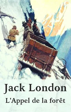Jack London Jack London: L'Appel de la forêt обложка книги