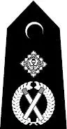 Deputy Chief Constable Chief Constable Acknowledgements Theres the sense - фото 10