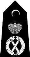 Chief Constable Acknowledgements Theres the sense that being an author is a - фото 11