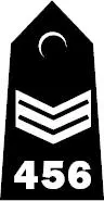 Police Sergeant Inspector Chief Inspector - фото 4