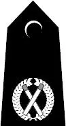Assistant Chief Constable Deputy Chief Constable Chief Constable - фото 9
