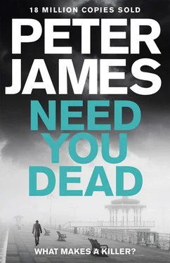 Peter James Need You Dead обложка книги